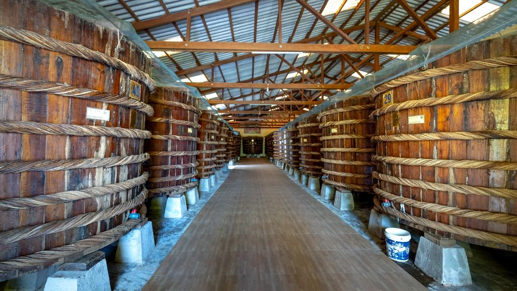 Cedar and cypress aging barrels in the Tetujin Shigaraki cellar, photographed at golden hour